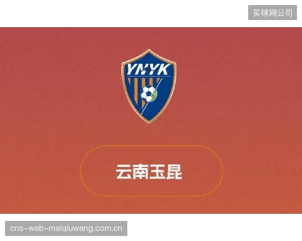 奥斯卡以全面的进攻数据领跑助攻榜，成为云南玉昆的进攻命脉。